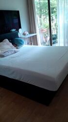 Stevens Suites (D10), Apartment #447893091